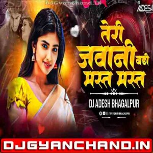 Teri Jawani Badi Mast Mast Hai Party Club Mix Hindi Song - Dj Aadesh Bhagalpur